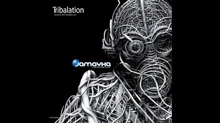 Tribalation (Grant Dell & Gareth Oxby) - Lunch Break