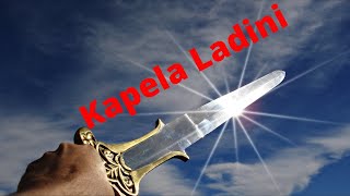 Video Bojovník       fighter