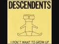 Descendents - Silly Girl