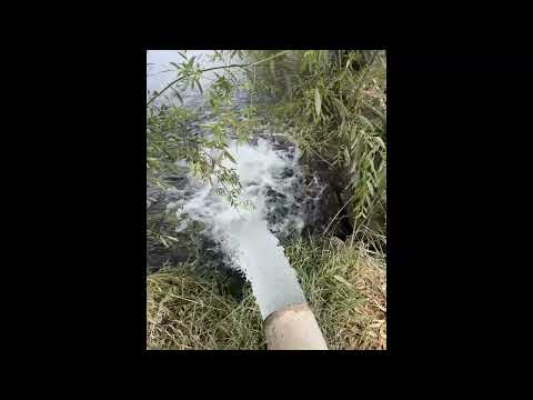 Finca Productiva 370 ha 5 Pozos. Paramillo Lavalle, Mendoza