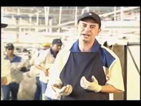 JHONNY RIVERA - AÑORO MI PAÍS