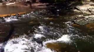 preview picture of video 'Ganoga Falls (94'), Falls Trail, Ricketts Glen State Park, Pennsylvania'