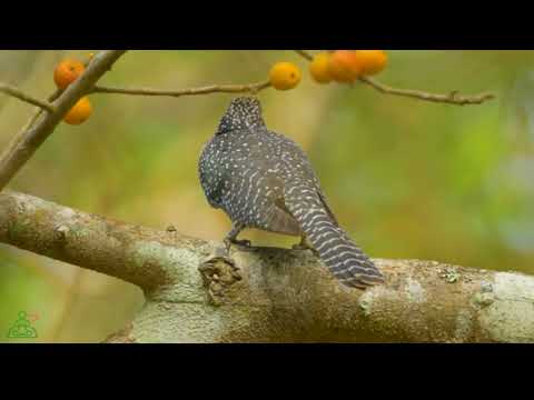 اذكار المساء مناظر طبيعية خلابه|Evening remembrance, beautiful landscapes
