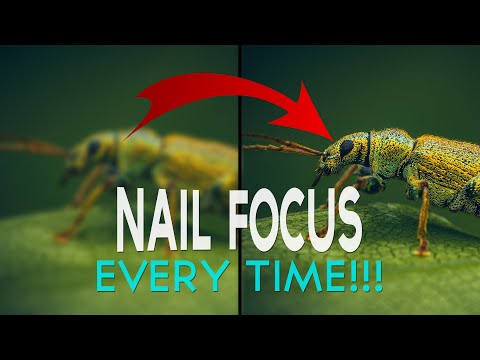 Nail Focus Every Time – This Simple Trick Works!