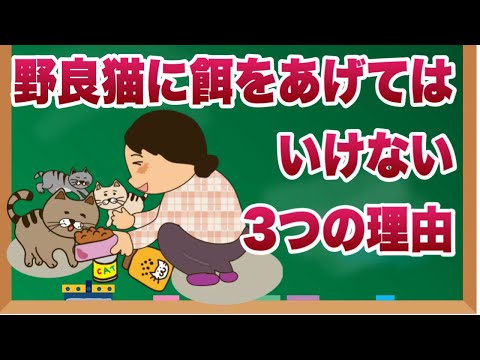 冬季の給餌に関する規定 サービス