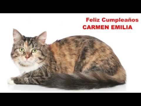 CarmenEmilia Cats Gatos - Happy Birthday