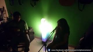 The Peppermint Phenomenon  - Tears in Heaven (Eric Clapton cover)