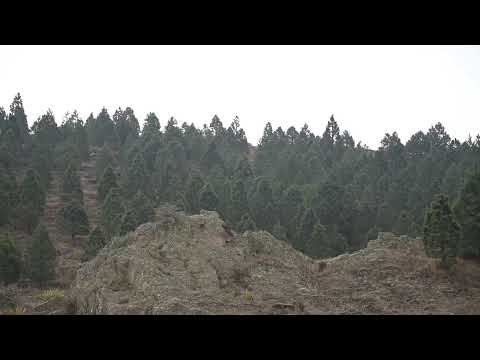 12° Fiesta Nacional del Melón, la agricultura y la producción Candelaria - San Luis