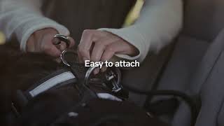 Volvo Accessories | Dog harness