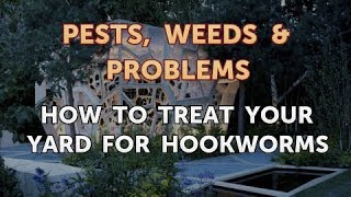 How to Treat Your Yard for Hookworms