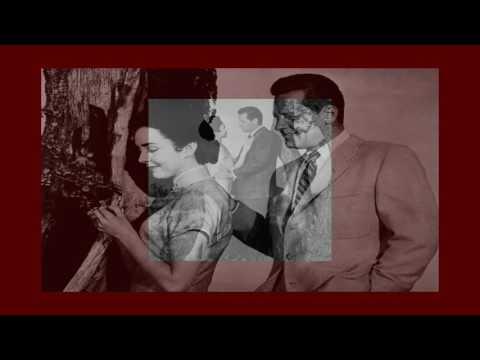 The Four Lads ~ Love Is A Many Splendored Thing (Stereo)