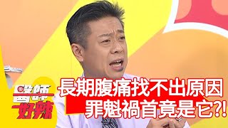 長期腹痛找不出原因，罪魁禍首竟是它？！【醫師好辣】20200827 part1 EP1005  張振榕 陳榮堅