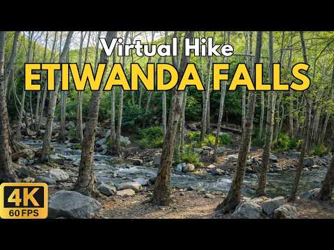 4K Virtual Treadmill Hike – Etiwanda Falls Trail Full Ascent | 38-Min POV Climb to the Waterfall