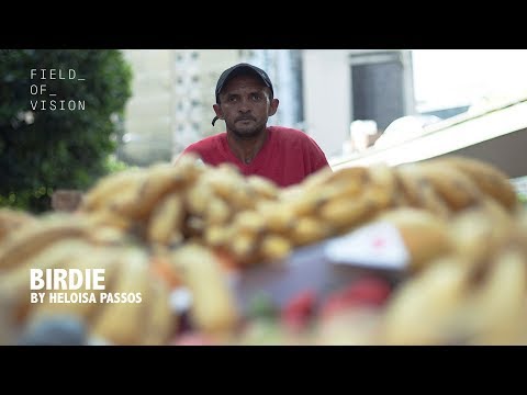 Field of Vision - Birdie