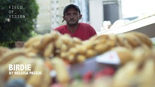 Field of Vision - Birdie