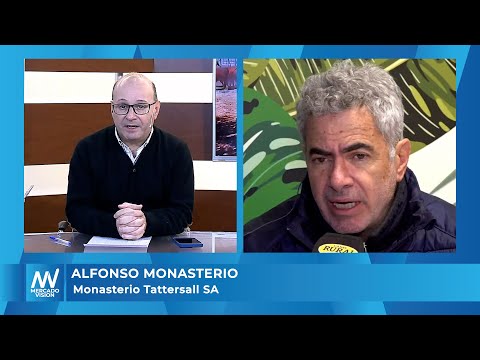 Alfonso Monasterio - Monasterio Tattersall SA -MV