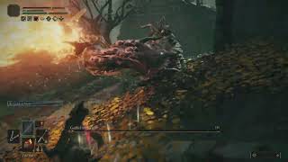 Killing Godrik Elden Ring