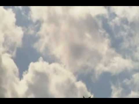 Comp arf 3m yak  DA 150/cans