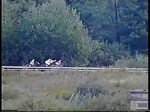 Hot Fan, Hof Juveler Hertz Aerespraemie, 1998, 2nd time, Klampenborg Copenhagen Racecourse