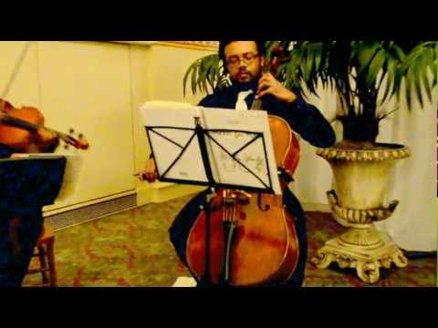 String Video 2 - Howard Franklin Music