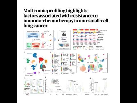 146-Spatial Determinants of NSCLC Immunotherapy Resistance
