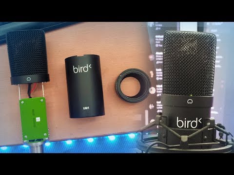 Ce qu'il y a à l'intérieur d'un micro Bird UM1