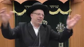 הרב ליאור גלזר שליט א פרשת ויגש קורע מצחוק