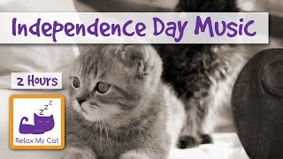 2 Hours of relaxing cat music for your pet leading up to Independence Day