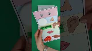 five senses craft