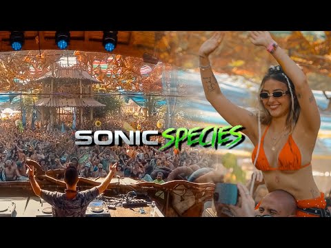 Sonic Species - Ozora Festival 2024 [ Full Set Movie / 4K ]