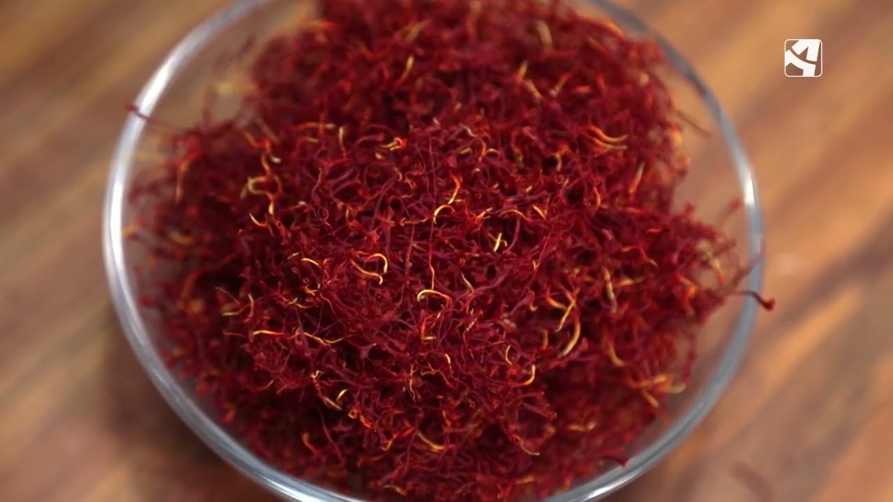 Después de la recogida toca la preparación del azafrán