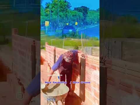 Nova Xavantina  / Mato Grosso