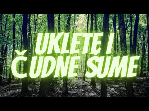 Uklete i Čudne Šume u Koje (Ne)Biste Želeli da Kročite