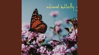 antisocial butterfly Music Video
