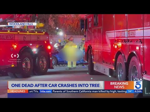 Mustang nearly split in 2 in fatal San Fernando Valley crash