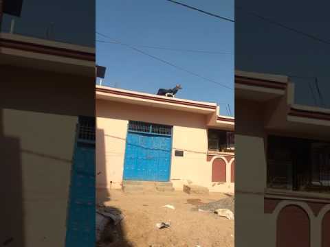 Girraj ojha pinto park