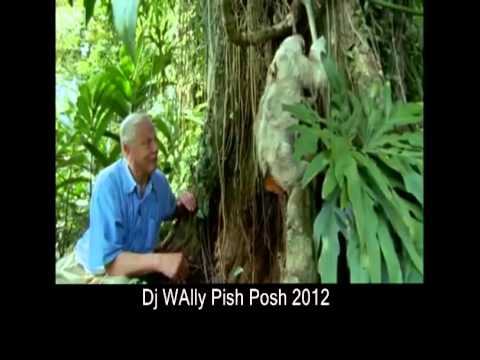 Dj WAlly Pish Posh 2012 Promo Vid