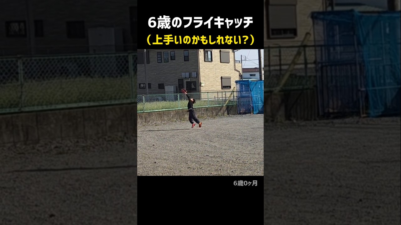 上手いかもしれない6歳のフライキャッチ