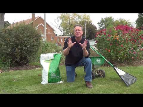 When is the Best Time to Put Down Grass Seed