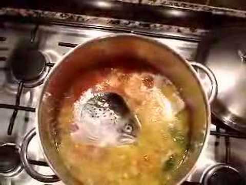 Ensopado Country Parte 2