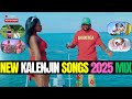 KALENJIN SONGS LATEST 2025 MIX 007 KALENJIN SONGS 2025 KILEL VICKY BRUNI KIPSANG DJ VOSTI