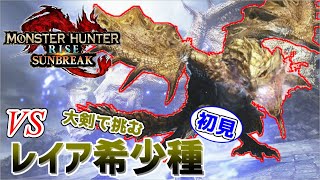 【モンハンサンブレイク】アップデート第一弾！VS『リオレイア希少種』初見！魔改造されたのか見ていく！【MHRS】