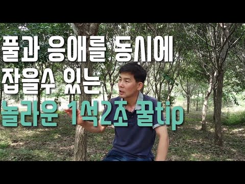 , title : '잡초와 응애를 동시에 해결할수있는 놀라운 꿀tip을 공개합니다.'