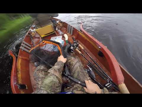 Tornionjoki Lohi 2020, Lappea