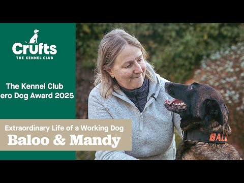 Play Video Youtube Video