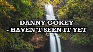 Danny Gokey - Haven&#39;t Seen it Yet Lyrics