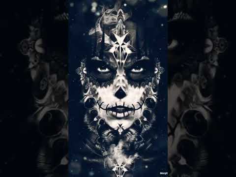 No disc X Cheb lotfi Bechwiya Vol 2 Remix  ولد خالي نجلبو الموطويات🚀🚀😵😵🤑🤑