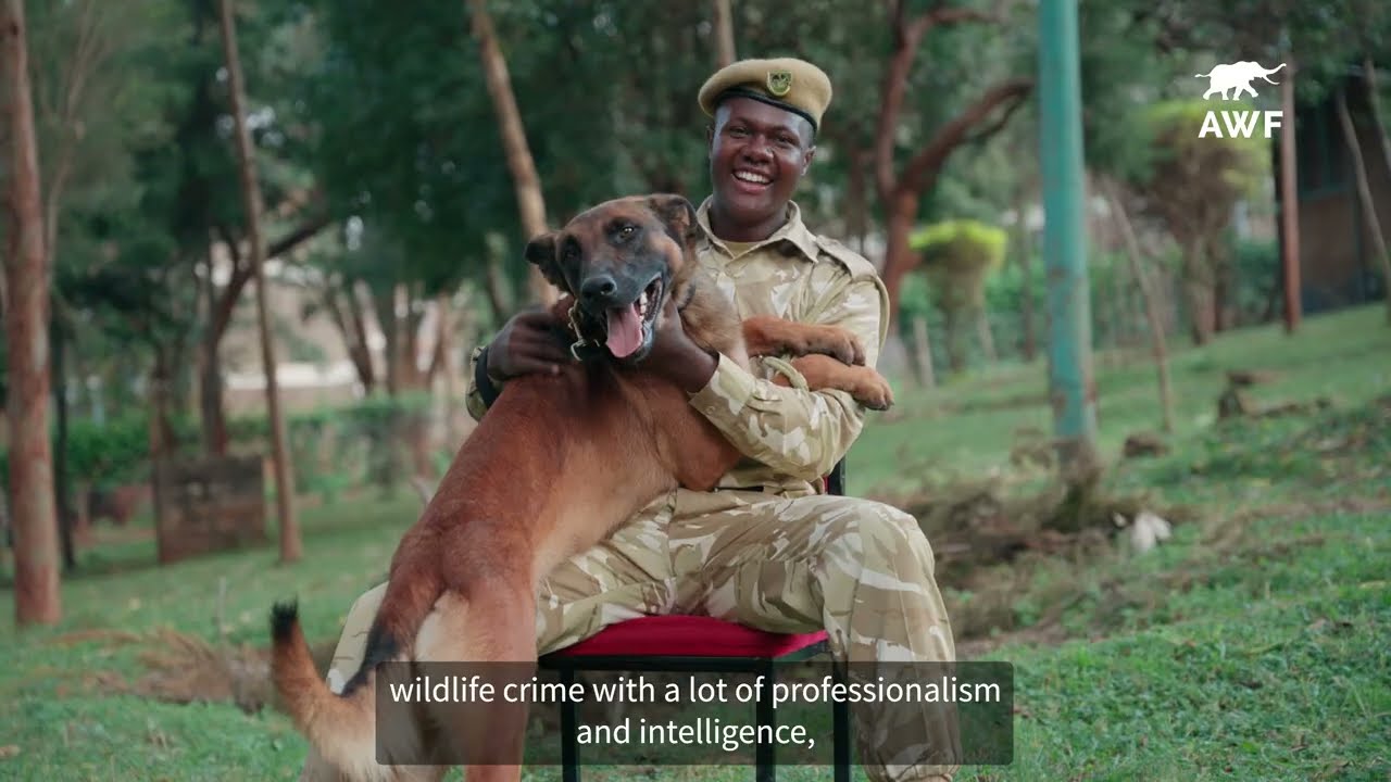 Building Africa’s Frontline Against Wildlife Crime