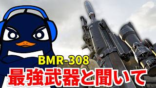 最強武器と噂の『BMR-308』を使ってみる この武器なら稼げますか？『WARDOGS』