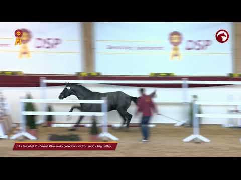 KN 32 von Taloubet Z / Cornet Obolensky